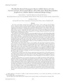 The Rhyolite-Hosted Volcanogenic Massive Sulfide