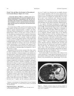 Portal Vein and Bone Involvement in Disseminated Cat