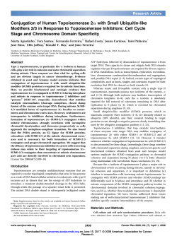 Conjugation of Human Topoisomerase 2A with