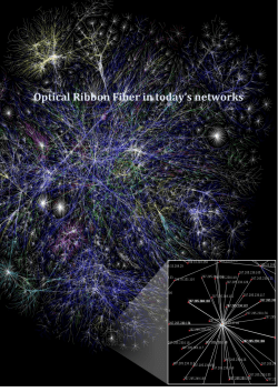 Optical Ribbon Fiber in today`s networks