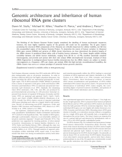 Genomic architecture and inheritance of human ribosomal