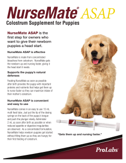 Colostrum Supplement for Puppies