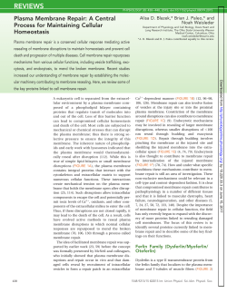 Plasma Membrane Repair: A Central Process for Maintaining