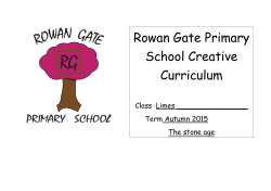 Rowan Gate Primary School Creative Curriculum
