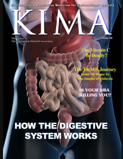 how the digestive system works