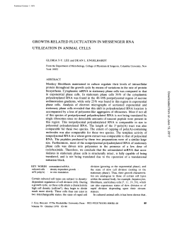 growth-related fluctuation in messenger rna utilization in animal cells