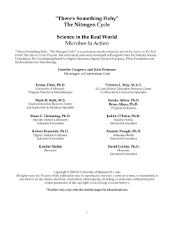 There`s Something Fishy