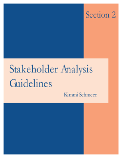 Stakeholder Analysis Guidelines