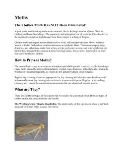 The Clothes Moth Has NOT Been Eliminated!