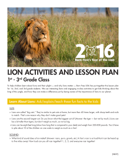 lion activities and lesson plan