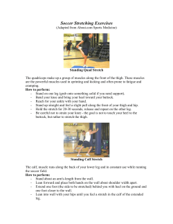 Standing Quad Stretch