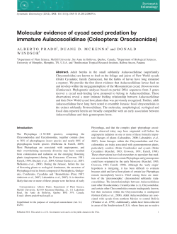Molecular evidence of cycad seed predation by immature