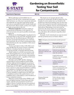 Gardening on Brownfields: Testing Your Soil for Contaminants