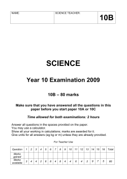 10b science - No Brain Too Small