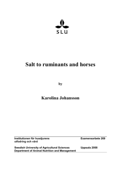 Salt to ruminants and horses