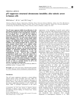 p53 suppresses structural chromosome instability after mitotic arrest
