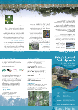 Station to Station Riverside Trail