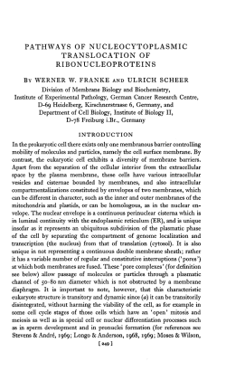 pathways of nucleocytoplasmic translocation of ribonucleoproteins