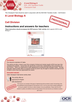 Cell Division Checkpoint Instructions