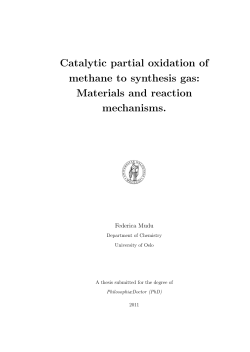 Catalytic partial oxidation of methane to synthesis gas - DUO