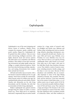 Cephalopoda - New Mexico State University