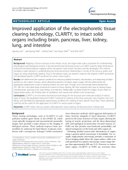 Improved application of the electrophoretic tissue clearing