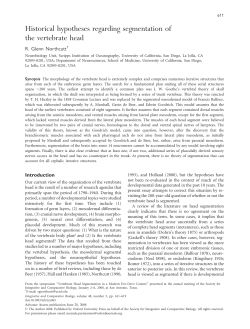 Historical hypotheses regarding segmentation of