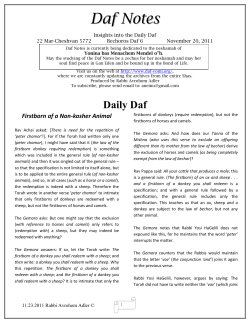Daf 6 - Daf Notes