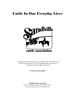 Cattle in Our Everyday Lives - Sandhills Cattle Association