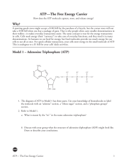ATP—The Free Energy Carrier
