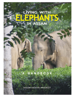 Living with Elephants in Assam