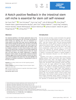 A Notch positive feedback in the intestinal stem cell niche is