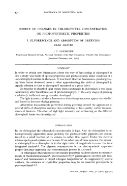 494 effect of changes in chlorophyll concentration on photosynthetic