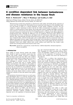 A Condition Dependent Link between Testosterone and Disease
