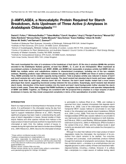 AMYLASE4, a Noncatalytic Protein Required for