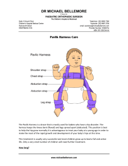 Pavlik Harness Care - Dr Michael Bellemore