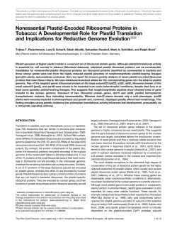 Nonessential Plastid-Encoded Ribosomal Proteins