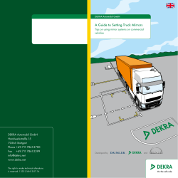 A Guide to Setting Truck Mirrors