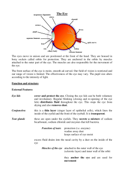 The Eye