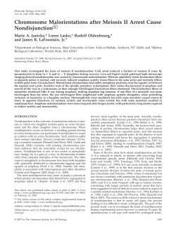 Chromosome Malorientations after Meiosis II Arrest Cause
