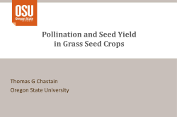 Pollination and Seed Yield in Grass Seed Crops