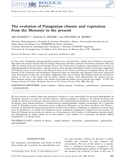 The evolution of Patagonian climate and
