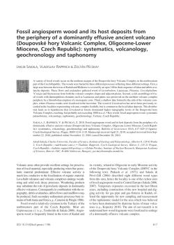 Fossil angiosperm wood and its host deposits from the periphery of
