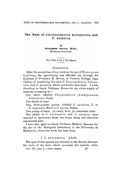 The Eyes of Chrysochloris hottentota and C. asiatica. With Plate 6