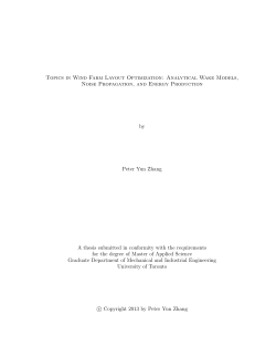 Topics in Wind Farm Layout Optimization