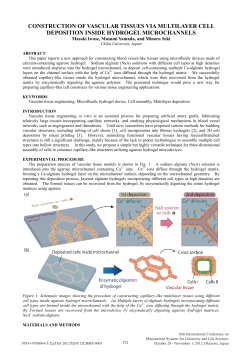 CONSTRUCTION OF VASCULAR TISSUES VIA MULTILAYER