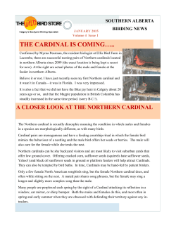 the cardinal is coming&hellip;..