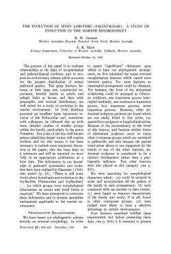 collected by Mr. Macgillivray during the voyage of HMS Rattlesnake