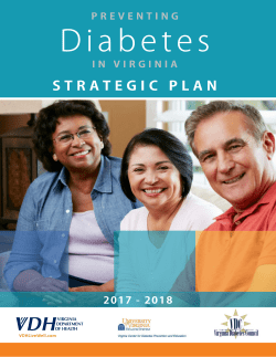 Preventing Diabetes in Virginia Strategic Plan 2017-2018