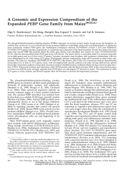 A Genomic and Expression Compendium of the Expanded PEBP